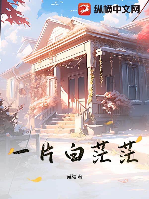 一片白茫茫